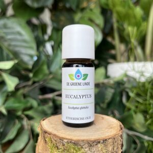 Eucalyptus